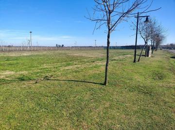 SVA-SVA-125_2 · Venta - Lote - Haras del Sur III Brandsen