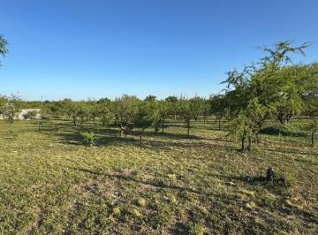 Terreno · 630m² · ¡2 Lotes Contiguos en Venta – Barrio Semicerrado Crucero Sud – Alta Gracia!