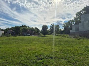 Terreno , Ibarlucea · Barrio Los Nogales Venta Terrenos Calle Los Olivos y Calle 13