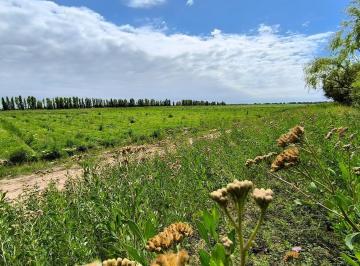 Campo · 3700000m² · Finca Productiva Lavalle 5 Pozos Operativos