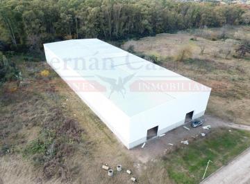 Bodega-Galpón · 3500m² · Nave de 3500 m² en Venta a Estrenar
