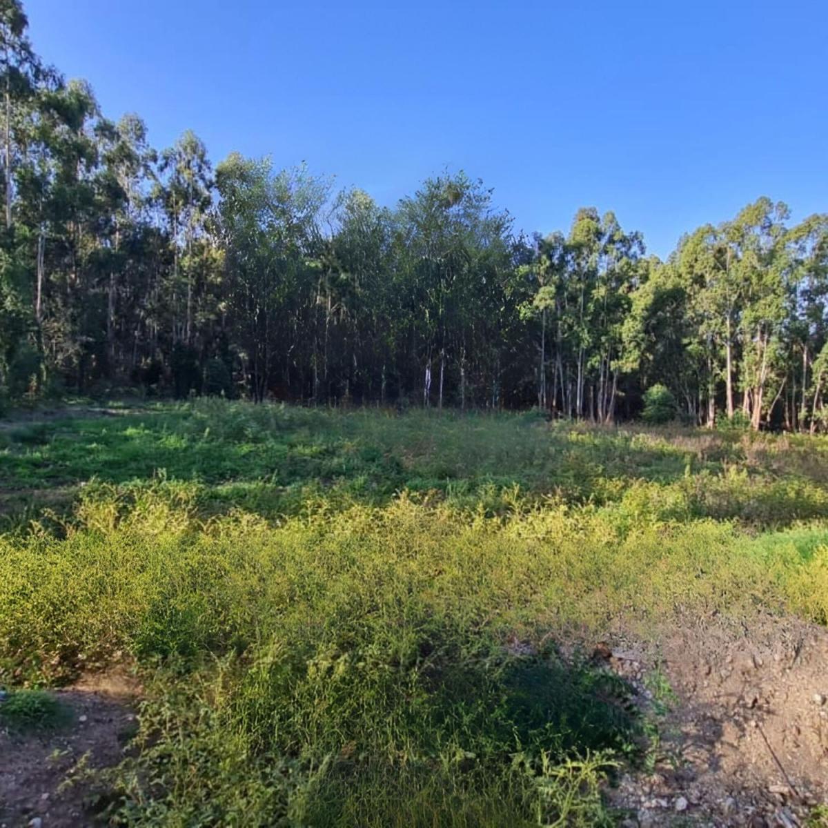 Excelente lote de 2462m² en La Elena, Tandil