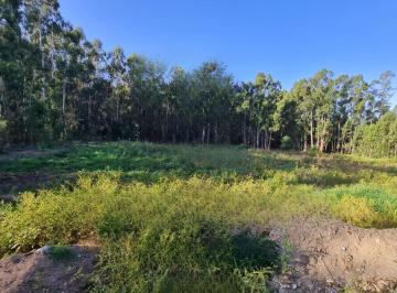Imagen1 · Venta de Excelente Lote en Tandil, La Elena