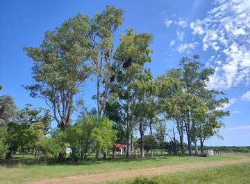 Campo , Villaguay · Excelente Chacra y Campo Ideal Para Desarrollo Inmobiliario