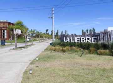 ANI-ANI-98_2 · Lote 600 m², Barrio Abierto La Liebre, Cañuelas, con Losa Construida