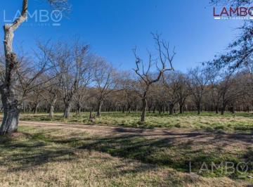 Terreno · 13000m² · Venta - Lote - Chacra - Carmen de Areco - La Alameda