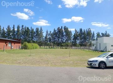 Terreno · 1002m² · Lote en Los Cardales - B° Matisse - Camino Rsp 1402 - Ruta 4