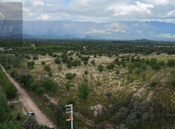Campo · 60000m² · Campo en Nono