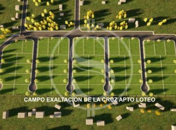 Campo · 120000m² · 1 Ambiente · Campo Para Subdivisión Exaltacion de La Cruz con Proyecto