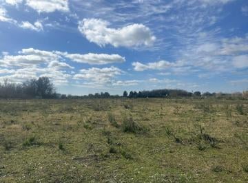 Campo · 190m² · 5 Ambientes · Campo en Venta Pavon con Casa 4 Amb y Casa Caseros