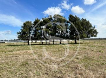 Campo · 10000m² · 1 Ambiente · Chacra de 2 Hectarea Mercedes Acepta Permuta