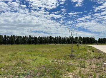 Terreno · 1254m² · Terreno Sin Expensas Cardales en Venta