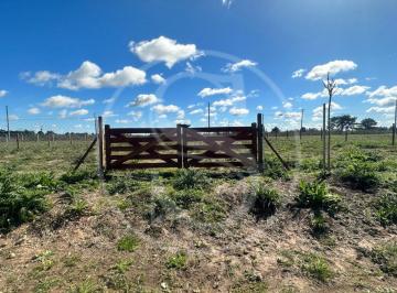 Terreno · 1500m² · Terreno en Venta Las Acacias Exaltación de La Cruz