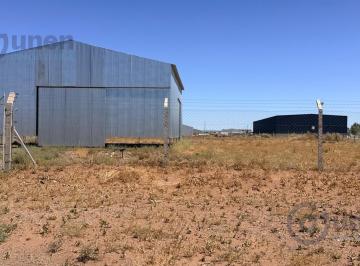 Bodega-Galpón · 25m² · Galpón - Añelo
