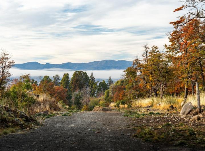 Terreno · 10000m²