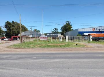 OCP-OCP-841_2 · Lote. | Presidente Peron (Chapuy)