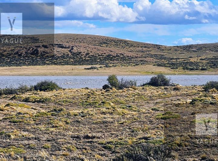 Campo · 170000000ha