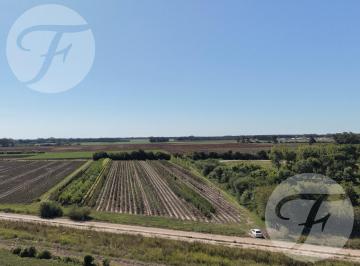 Terreno · 20141m² · Parcela de 2 Hectáreas con Excelente Ubicación en San Pedro