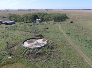 Campo · 6860000m² · Campo en Venta 690 Has en San Vicente - Mixtas