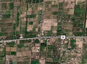 Terreno , Alto Verde · Vendo Finca Productiva en Alto Verde, San Martín, Mendoza
