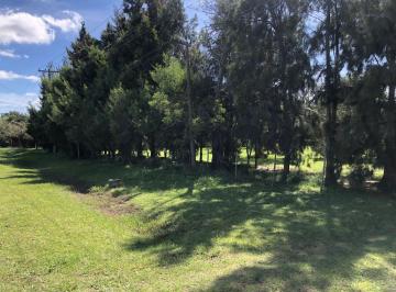 JSP-JSP-4926_4 · Venta de Lote en Vieytes, Magdalena
