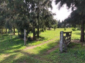 JSP-JSP-4926_2 · Venta de Lote en Vieytes, Magdalena
