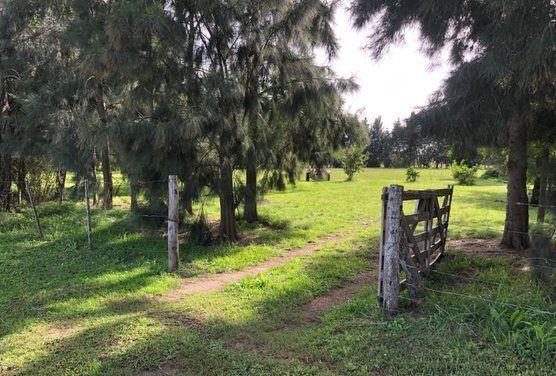 Terreno · 7500m²