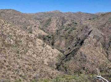Campo · 220m² · Campo de 220,64 Ha en Alta Gracia - Oportunidad