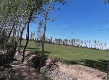 Campo en Venta de 2 ambientes El Toledano · Dueño Vende Finca, Villa Atuel