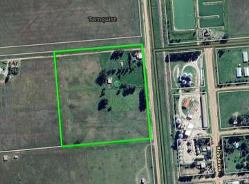 Campo · 50000m² · Campo en Venta - 5 Has - Tornquist