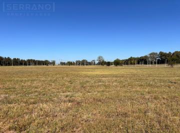 Terreno · 1000m² · Terreno en Venta 1000 m², Barrio Abierto Praderas 2 de Los Cardales con Posesión Inmediata