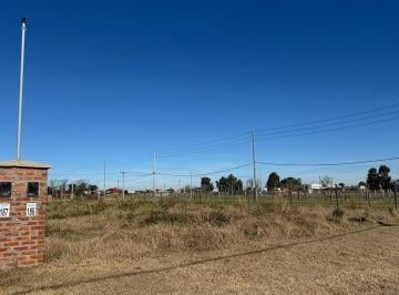 Terreno · 411m² · Adg. Lote Interno en Nueva Zelaya 2