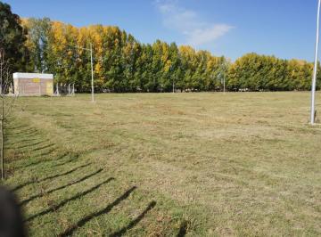 Terreno , San Carlos · Lote de 300 m²