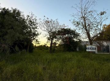 Terreno · Lote en Venta – Barrio Monte Alto (Seelstrang 4685)