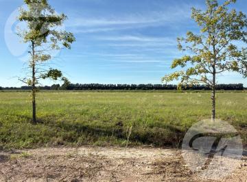 Terreno · 1050m² · Financiación en 40 Cuotas de 700 Dólares - Venta en Lago de Obligado San Pedro - Escritura