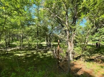 Terreno · 1200m² · Terreno en Venta - Casa Grande