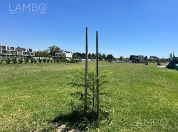 Terreno · 378m² · Terreno en El Olivar