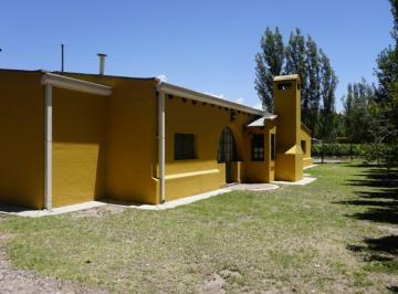Campo , Tunuyán · Finca con Chalet en Venta en Vista Flores