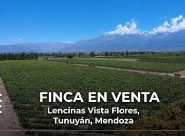 Campo de 7 ambientes, Vista Flores · Finca con Chalet en Lencinas Vista Flores