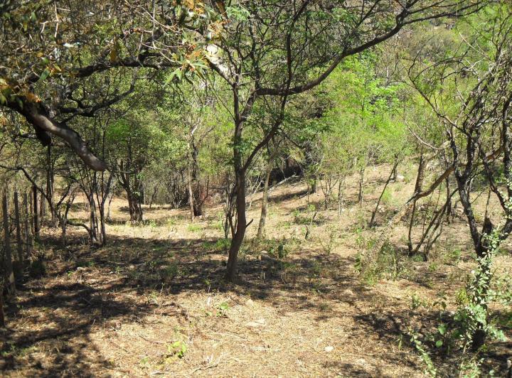 Terreno · 1059m²
