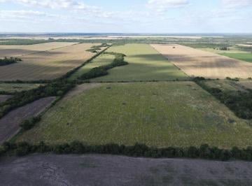 Campo , Las Guachas · 65 Hectáreas Mixtas en Rosario del Tala