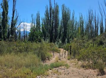 Terreno · 40000m² · Venta de Terreno en Potrerillos, Mendoza. Id: