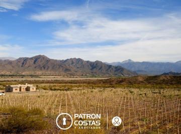 Imagen 1 · Chacra en Venta en Molinos Valles Calchaquies