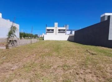 Terreno · 250m² · Lote de 250 m² con Escritura en Valle Cercano Barrio La Amistad
