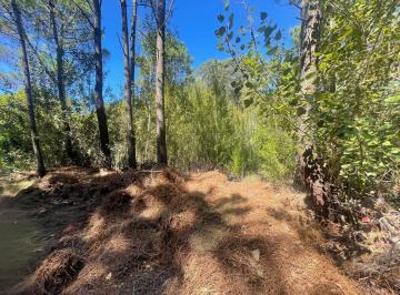 Terreno · Lote en Carilo Sobre Calle Olmos