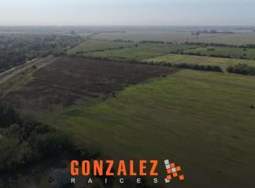 Campo · 300000m² · Campo en 20 de Junio - 30 Hectáreas