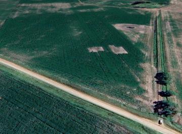 Campo · 2800000ha · Campo de 280 Ha en General Alvear – Apto Agrícola Ganadero