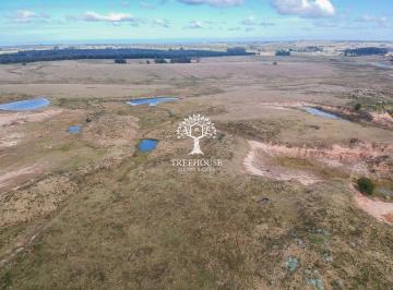 TBR-TBR-3760_2 · Venta Campo 30.5 Hectáreas José Ignacio - Garzón
