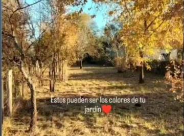Terreno , Villa Rumipal · Terreno de 566 m² en Venta en Villa Rumipal