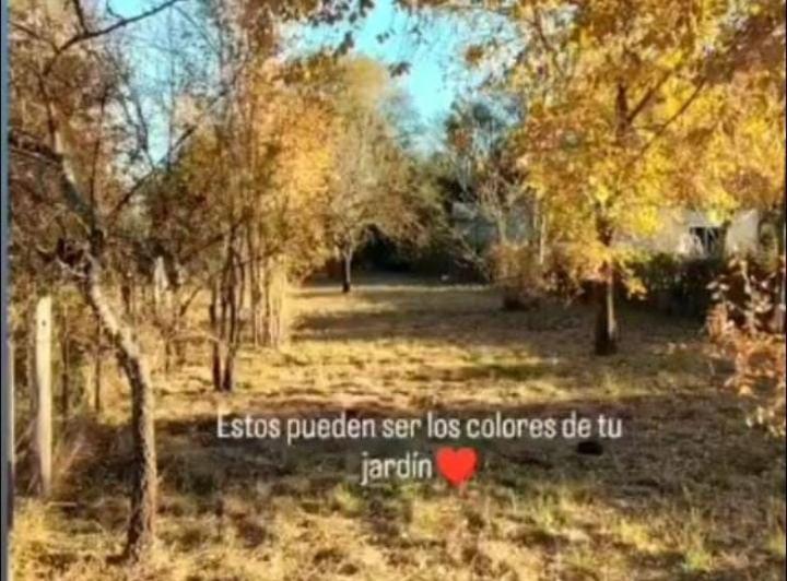 Terreno · 566m²